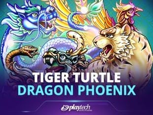 Tiger Turtle Dragon Phoenix icon