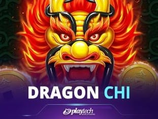 Dragon Chi icon